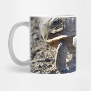 Desert Tortoise Photo Mug